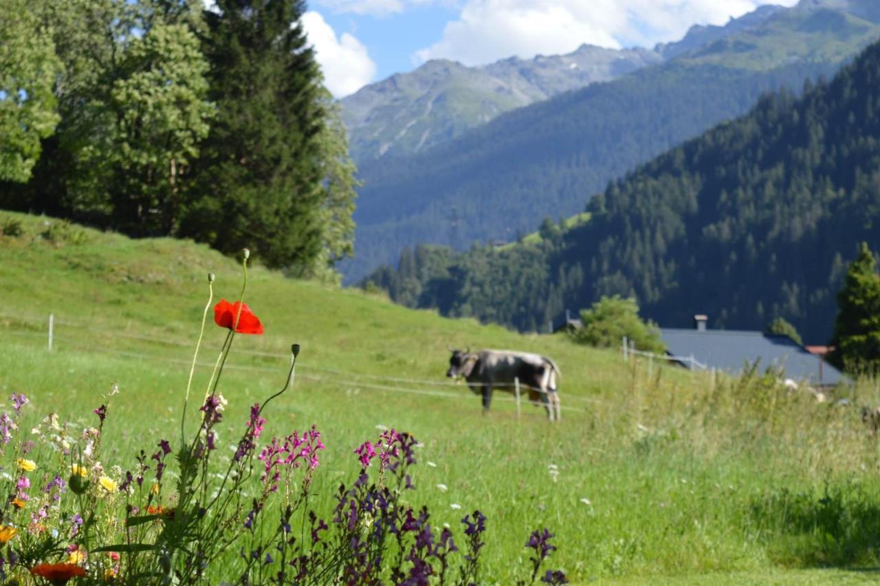 Alpenherz Apartments Sankt Gallenkirch Kültér fotó